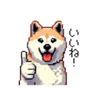 ドット絵 秋田犬 日常会話 40種（個別スタンプ：11）