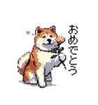 ドット絵 秋田犬 日常会話 40種（個別スタンプ：13）