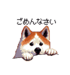 ドット絵 秋田犬 日常会話 40種（個別スタンプ：14）