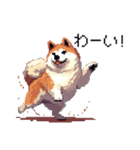 ドット絵 秋田犬 日常会話 40種（個別スタンプ：16）