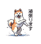 ドット絵 秋田犬 日常会話 40種（個別スタンプ：19）