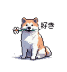 ドット絵 秋田犬 日常会話 40種（個別スタンプ：21）