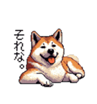 ドット絵 秋田犬 日常会話 40種（個別スタンプ：22）