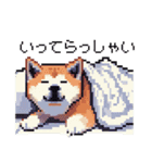 ドット絵 秋田犬 日常会話 40種（個別スタンプ：23）