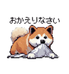 ドット絵 秋田犬 日常会話 40種（個別スタンプ：25）