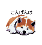 ドット絵 秋田犬 日常会話 40種（個別スタンプ：27）