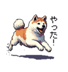 ドット絵 秋田犬 日常会話 40種（個別スタンプ：28）