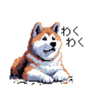 ドット絵 秋田犬 日常会話 40種（個別スタンプ：29）