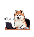 ドット絵 秋田犬 日常会話 40種（個別スタンプ：30）