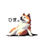 ドット絵 秋田犬 日常会話 40種（個別スタンプ：32）