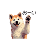 ドット絵 秋田犬 日常会話 40種（個別スタンプ：33）