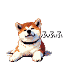 ドット絵 秋田犬 日常会話 40種（個別スタンプ：36）