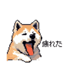 ドット絵 秋田犬 日常会話 40種（個別スタンプ：37）