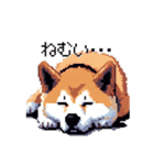 ドット絵 秋田犬 日常会話 40種（個別スタンプ：38）