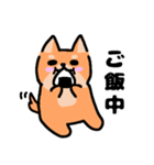 ゆるかわ☆柴犬（個別スタンプ：14）