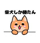 ゆるかわ☆柴犬（個別スタンプ：23）