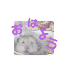 もじゃくんのいちにち（個別スタンプ：1）