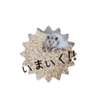 もじゃくんのいちにち（個別スタンプ：4）
