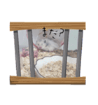 もじゃくんのいちにち（個別スタンプ：7）