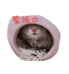 もじゃくんのいちにち（個別スタンプ：8）