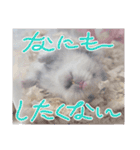 もじゃくんのいちにち（個別スタンプ：9）