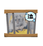 もじゃくんのいちにち（個別スタンプ：11）
