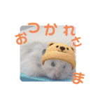 もじゃくんのいちにち（個別スタンプ：17）