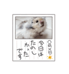 もじゃくんのいちにち（個別スタンプ：19）