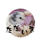 もじゃくんのいちにち（個別スタンプ：20）