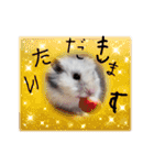 もじゃくんのいちにち（個別スタンプ：21）