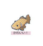 かわいい動物スタンプセット（個別スタンプ：20）