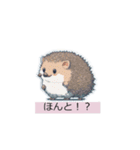 かわいい動物スタンプセット（個別スタンプ：28）