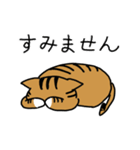 ニャラおじ 幸運のカギしっぽねこ（個別スタンプ：12）