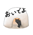 冬の黒猫スタンプ（個別スタンプ：12）