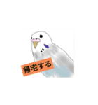 インコーズコレクション☆（個別スタンプ：6）