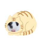 ククのいちにち（個別スタンプ：2）