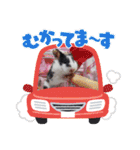 ククのいちにち（個別スタンプ：6）