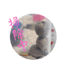 ククのいちにち（個別スタンプ：9）
