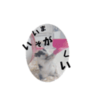 ククのいちにち（個別スタンプ：10）