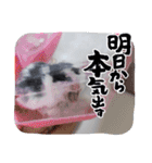 ククのいちにち（個別スタンプ：14）