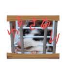 ククのいちにち（個別スタンプ：18）