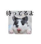 ククのいちにち（個別スタンプ：20）