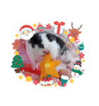 ククのいちにち（個別スタンプ：22）