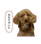 モコゾウ5th（個別スタンプ：5）