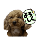 モコゾウ5th（個別スタンプ：6）
