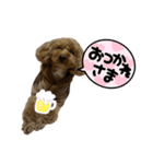モコゾウ5th（個別スタンプ：7）