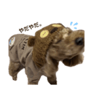 モコゾウ5th（個別スタンプ：8）