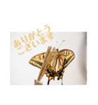 nanda 虫さん（個別スタンプ：3）