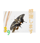 nanda 虫さん（個別スタンプ：6）