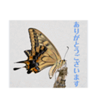nanda 虫さん（個別スタンプ：8）